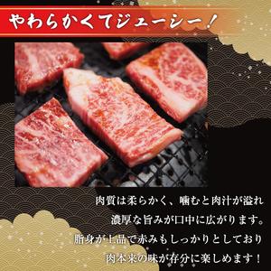 ふるさと納税 博多和牛サーロインステーキセット 1kg(250g×4枚) [a0342] 株式会社Meat Plus ※配送不可：離島添田町 ふるさと納.. 福岡県添田町