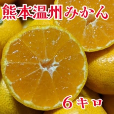 令和5年度産　温州みかん　約6キロ　家庭用(玉名市)