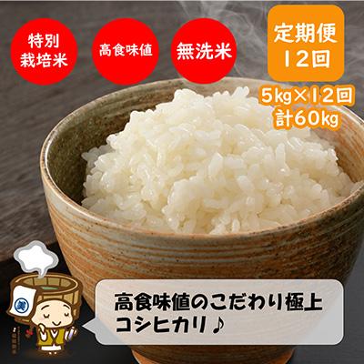 ふるさと納税 あわら市 特別栽培米コシヒカリ5kg 《こだわり極上無洗米》 全12回