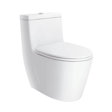 和成 HCG 單體馬桶 C8309MUT 30公分管距排水３０公分