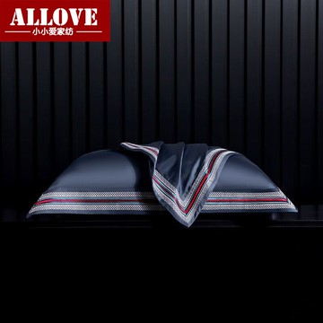 純色簡約100支長絨棉全棉枕套純棉枕頭套48*74cm單人枕芯套一對裝