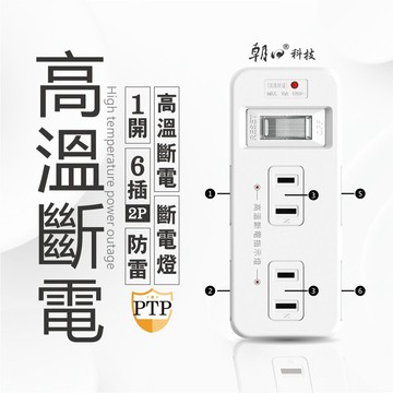 朝日電工 2P高溫斷電1開6T插分接器15A PTP-R10B 防雷突波