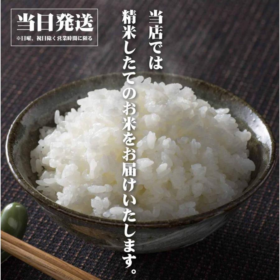 梨北米　コシヒカリ　産地直送　送料無料　当日発送　山梨県産　上質　５kg　令和５年産　新米