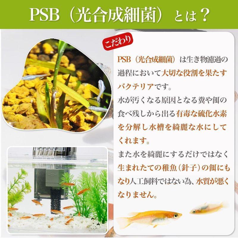 PSB光合成細菌30L用培養エキス300ml めだか金魚ミジンコクロレラ1X ...