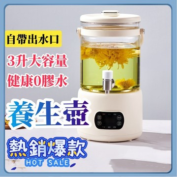 養生壺 花茶壺 泡茶壺 烧水壶 3升大容量 电热烧水壶 煮茶器 110V 玻璃快煮壺 電水壺 電茶壺