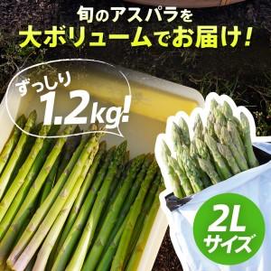 ふるさと納税 朝採り直送　春芽グリーンアスパラガス（2L）１.2kg　BT02 福岡県大木町