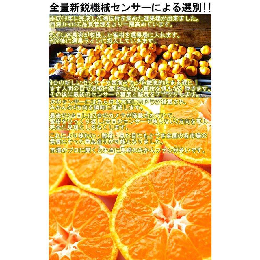 味まる蜜柑 約5kg 長崎県産 秀品限定 贈答規格 JAながさき西海 光センサー選果で糖度12度保障！長崎県が誇るブランド果物、西海みかん