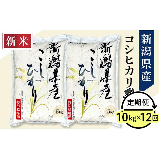 ふるさと納税 新潟県 長岡市 75-3N10Z新潟県長岡産コシヒカリ10kg（特別栽培米）