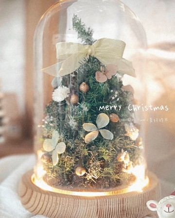 冬光穹頂 | 森光永生聖誕樹玻璃小屋、精緻聖誕樹