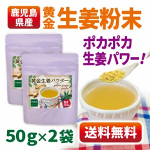 生姜  パウダー 粉末 送料無料 ジンジャー 国産 50g×2袋