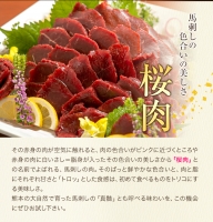 国産赤身馬刺し 約560g 馬刺しのたれ付き 千興ファーム 馬肉 冷凍 《60日以内に順次出荷(土日祝除く)》 新鮮 さばきたて 真空パック SQF ミシュラン 生食用 肉 菅乃屋 熊本県御船町 特産品 数量限定