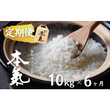 ふるさと納税 計60kg！本氣米10kg×6か月定期便 ブランド米 お米 精米 白米 弁当 ごはん ご飯 おにぎり 年末.. 島根県海士町