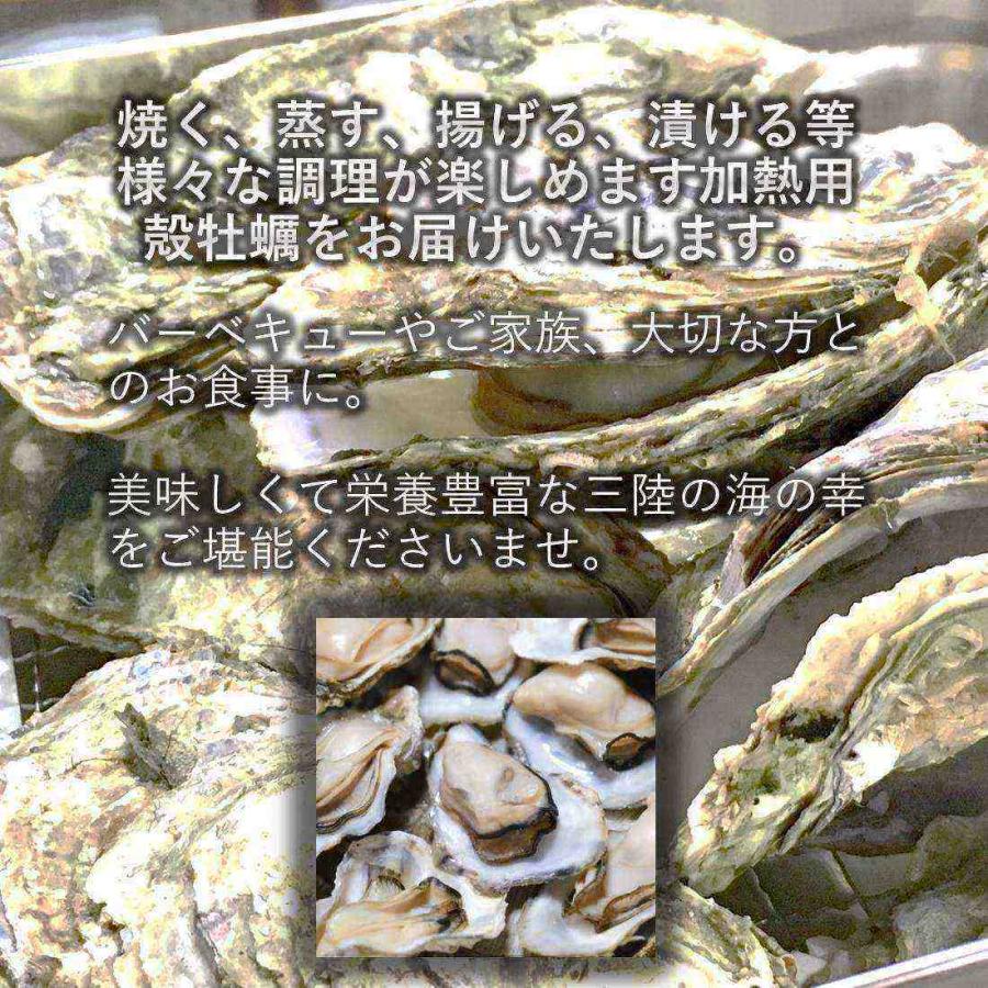 かき 加熱用 みちのく三陸産 殻付き牡蠣 10kg 産地直送 カキ バーベキュー パーティー 焼く 煮る 揚げる 等様々なお料理に