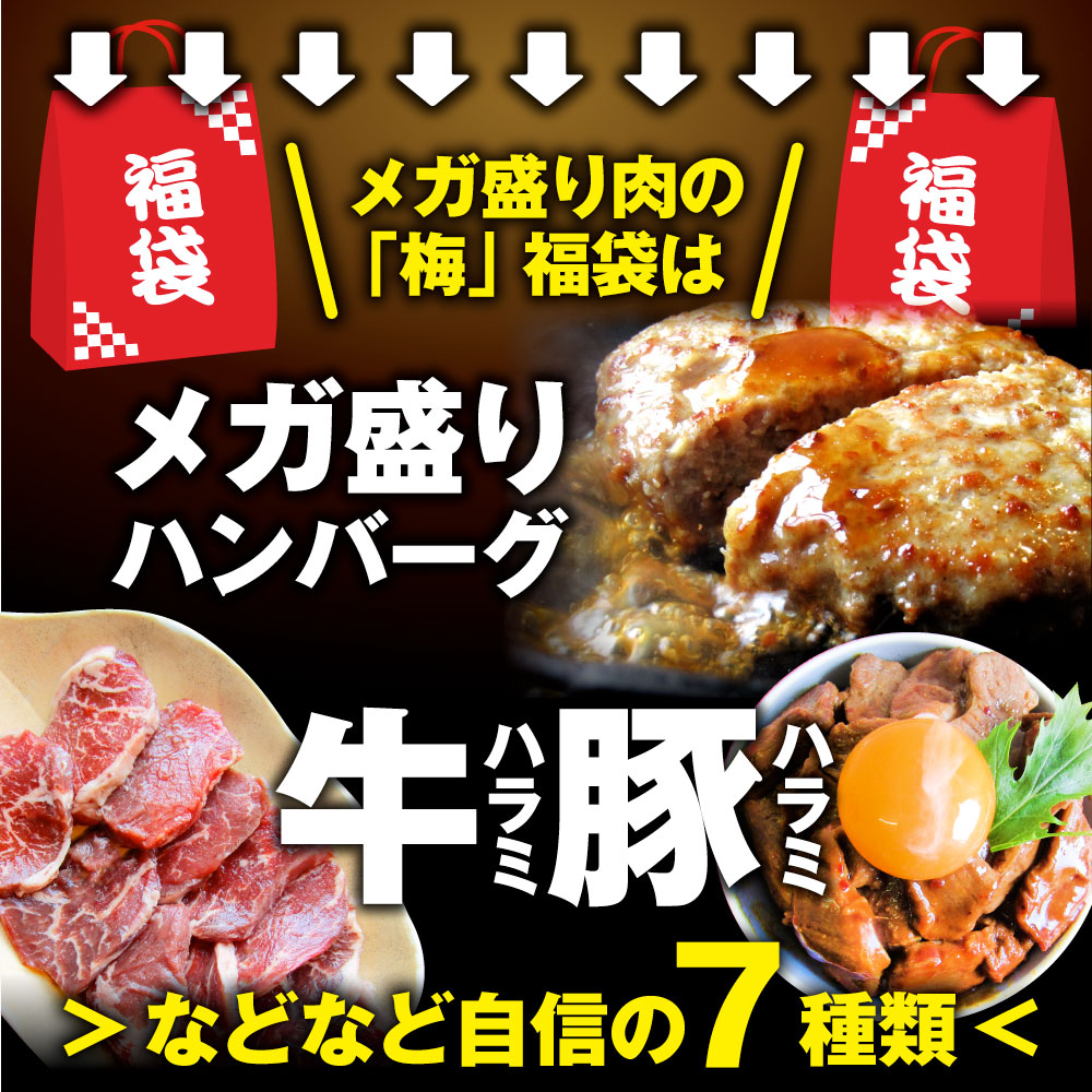 肉 福袋 肉の福袋 「梅福袋」牛肉 食品 メガ盛り 総重量2.5kg超 焼くだけ＆レンジで簡単調理！ランキング1位＆人気のお肉豪華セット