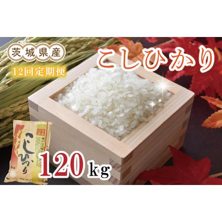 ふるさと納税 EN-9　茨城県産コシヒカリ計120kg（10kg×12回）（令和5年産）※離島への配送不可 茨城県水戸市