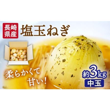 ふるさと納税 塩玉ねぎ（新玉ねぎ）約3kg（中玉）   玉ねぎ 南島原市   長崎県農産品流通合同会社[SCB056] 長崎県南島原市