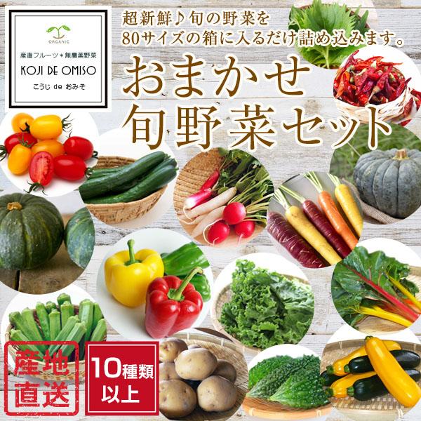 今日のお買い得！数量限定 おまかせ旬野菜セット 10種類以上 ※内容の指定不可 ■期日指定不可・発送翌日受取限定：お届け時間帯にご注意ください■