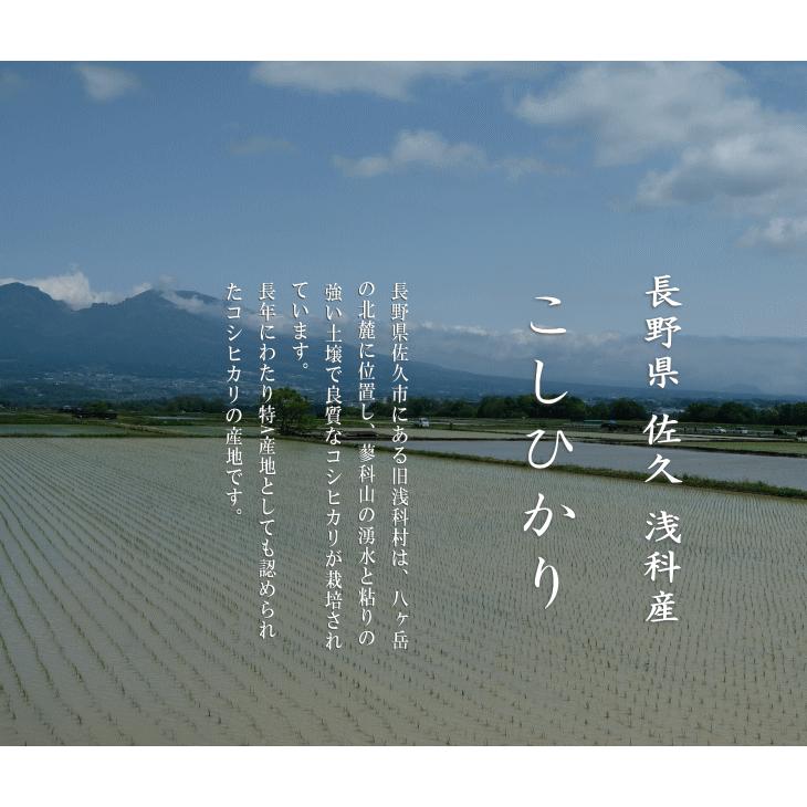 新米 令和５年産 長野県産 こしひかり 浅科産 １等米 白米 ５kg×２袋