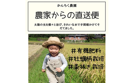 お米 コシヒカリ ミルキークイーン 10kg×2袋 食べ比べ 岡山県美咲町産 おこめ 米 国産