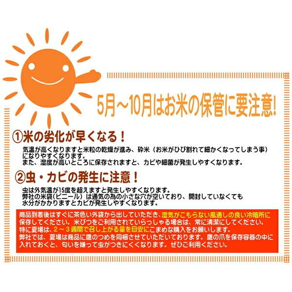 令和五年度産 国内産故郷コシヒカリ 10kg メーカー直送