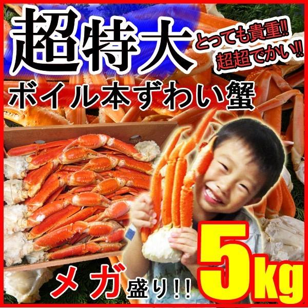 特大ずわいがに脚 5kg 送料無料 冷凍便 ズワイガニ ボイル かに カニ 蟹 お取り寄せ