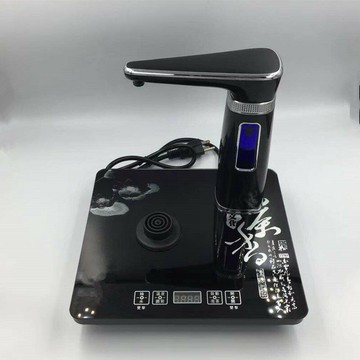 電熱水壺110V飲水機出口小家電全自動抽水器自動上水燒水泡茶壺
