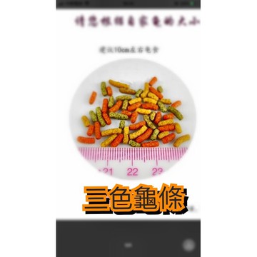F JiueseAqua三色均衡全方位烏龜飼料 龜 烏龜 、澤龜 、水龜、類高夠力