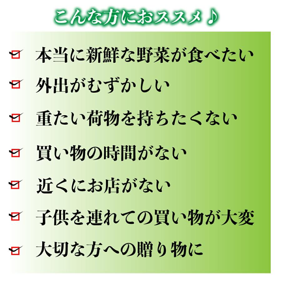 新鮮　野菜セット　九州野菜8品  おまけのお野菜4〜6品 九州の市場から直送　野菜詰め合わせ　