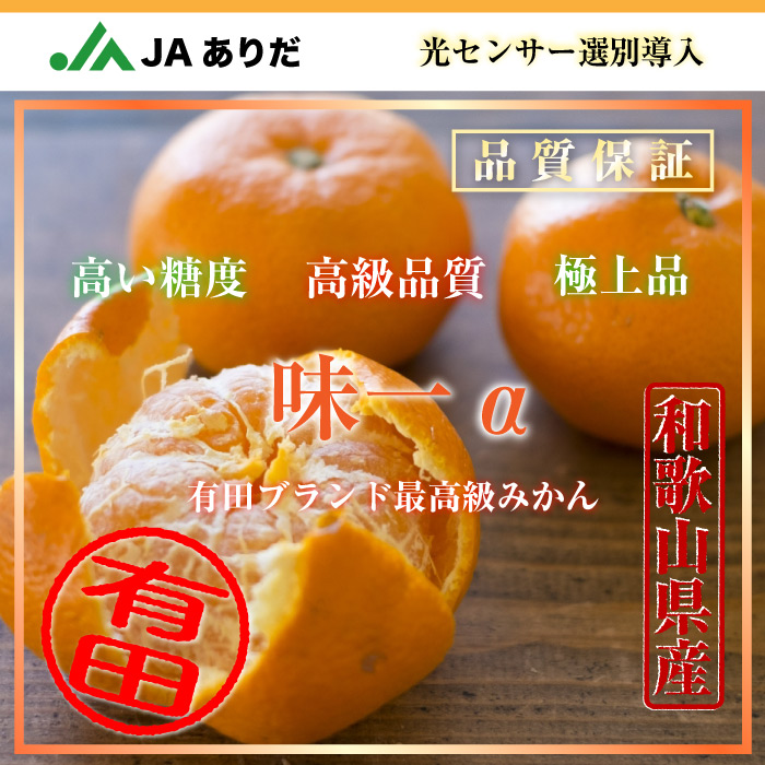 [予約 2023年11月1日-11月30日の納品] 有田味一α 糖度13度 5kg 和歌山県有田産 JAありだ 産地箱 冬ギフト お歳暮 御歳暮