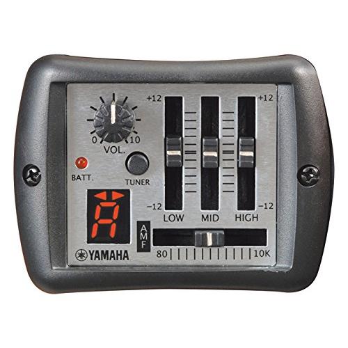 ヤマハ YAMAHA エレアコギター 12弦 APX700II-12 NT