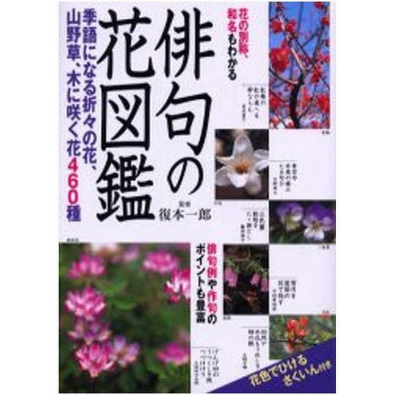 俳句の花図鑑 季語になる折々の花 山野草 木に咲く花460種 通販 Lineポイント最大0 5 Get Lineショッピング