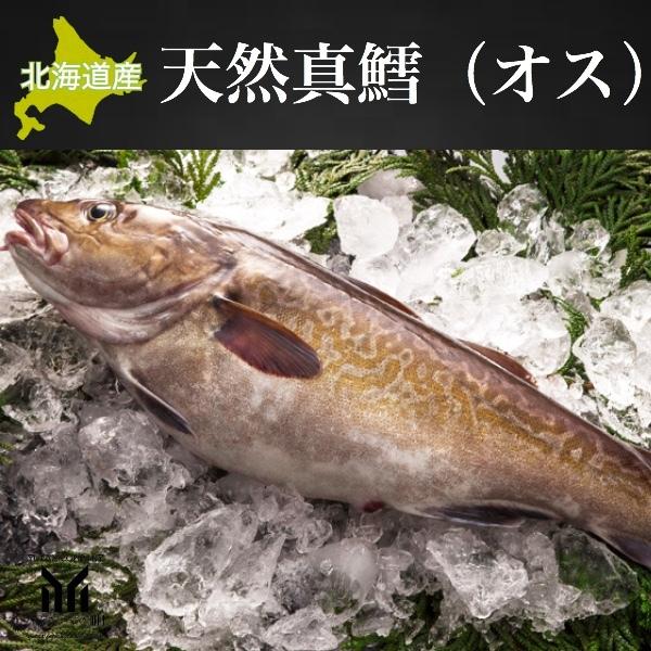 北海道産 天然真鱈 マダラ 1尾 2~3kg オス