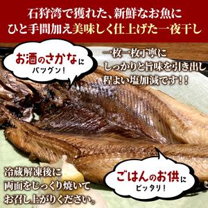 ふるさと納税 10-122 一夜干しニシン 12枚入り 北海道石狩市