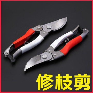 臺灣嚴選經典款修剪樹枝的剪刀園藝專用剪枝剪刀剪枝剪樹枝剪花藝剪刀精品