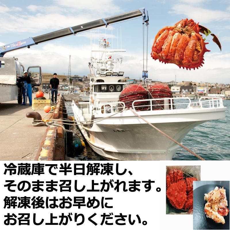 カニ 花咲蟹甲羅盛り 北海道根室産 ８５ｇ×５セット 冷凍品 産地直送 送料無料