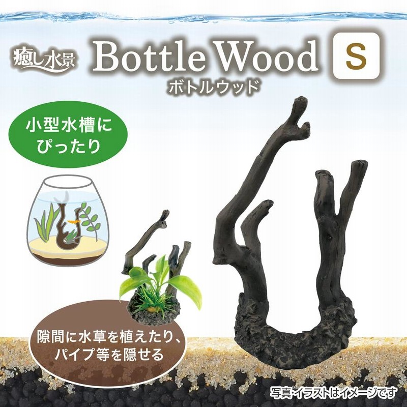 900×700×320流木 - モンスターアクアリウム&レプタイルズ 買取販売情報
