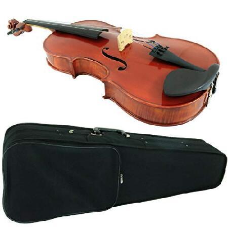 D'Luca PDZ02-16.5 16.5-Inch Orchestral Series Viola Outfit