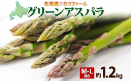 北海道産 グリーン アスパラガス 約1.2kg M L サイズ混合 アスパラガス アスパラ 旬 朝採り 新鮮 お取り寄せ 産地直送 産直 野菜 農作物 詰め合わせ 国産 しりべしや ニセコファーム 北海道