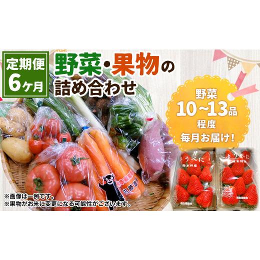 ふるさと納税 熊本県 菊陽町 菊陽町特産品 「野菜・果物などの詰め合わせ」