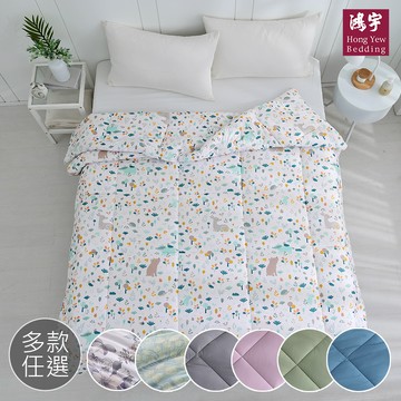 鴻宇 HongYew - 雲朵暖綿抗菌水洗冬被 棉被-多款任選-雙人6x7