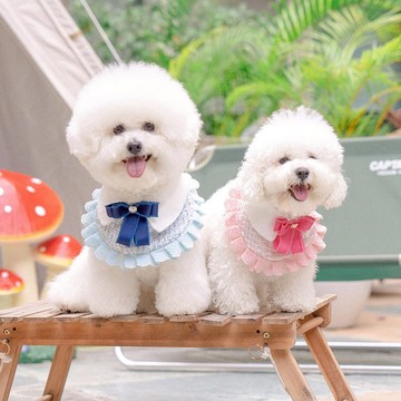 【寵物圍兜】小香風愛心情侶款－貓狗領巾 (粉藍色)