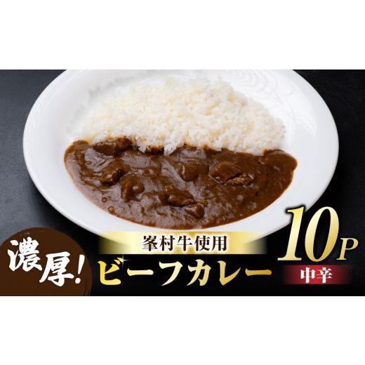 ふるさと納税 長野県 東御市 牧舎みねむら ビーフカレー10個セット ※着