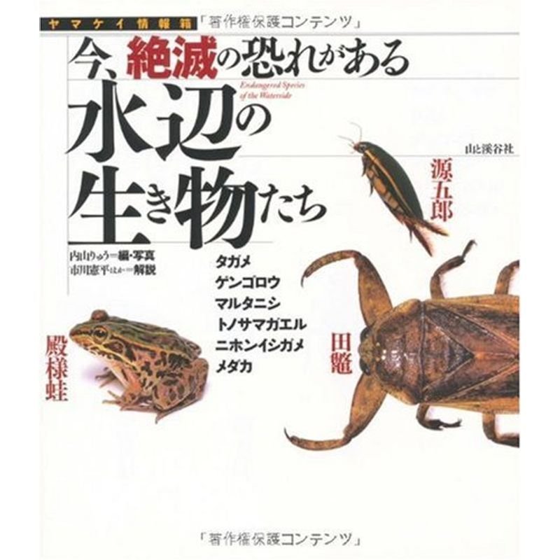 今、絶滅の恐れがある水辺の生き物たち?タガメ・ゲンゴロウ・マルタニシ・トノサマガエル・ニホンイシガメ・メダカ (ヤマケイ情報箱)