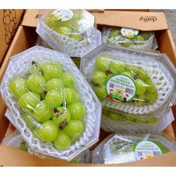 韓國 大果實 麝香葡萄 ｜韓國進口水果   1盒 / 600g+-10%