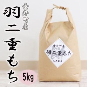 ふるさと納税 岐阜県産羽二重もち5kg 岐阜県垂井町