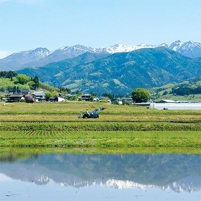 ふるさと納税 川場村 雪ほたか　玄米5kg