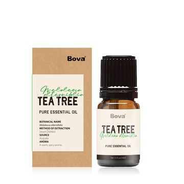Bova 法柏天然茶樹精油10ml(草本調 單方精油)