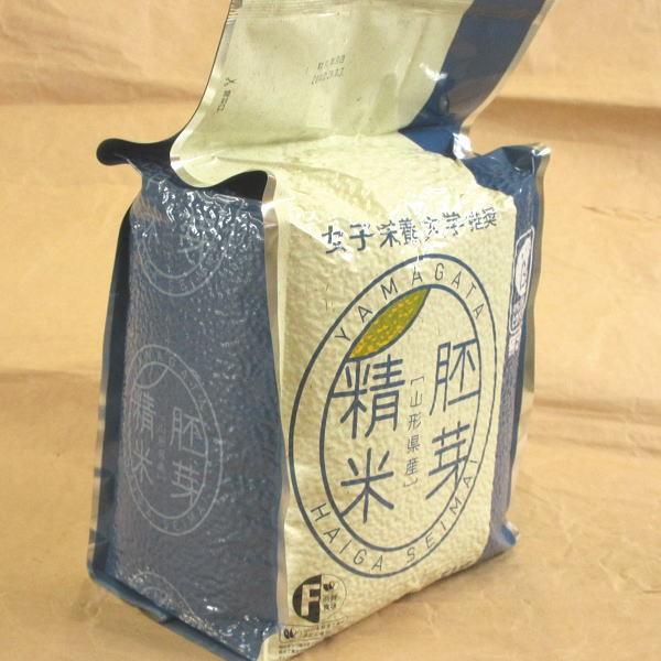 お米 5kg 無洗米 胚芽精米 白米 山形県 5kg×1袋 5年度 新米