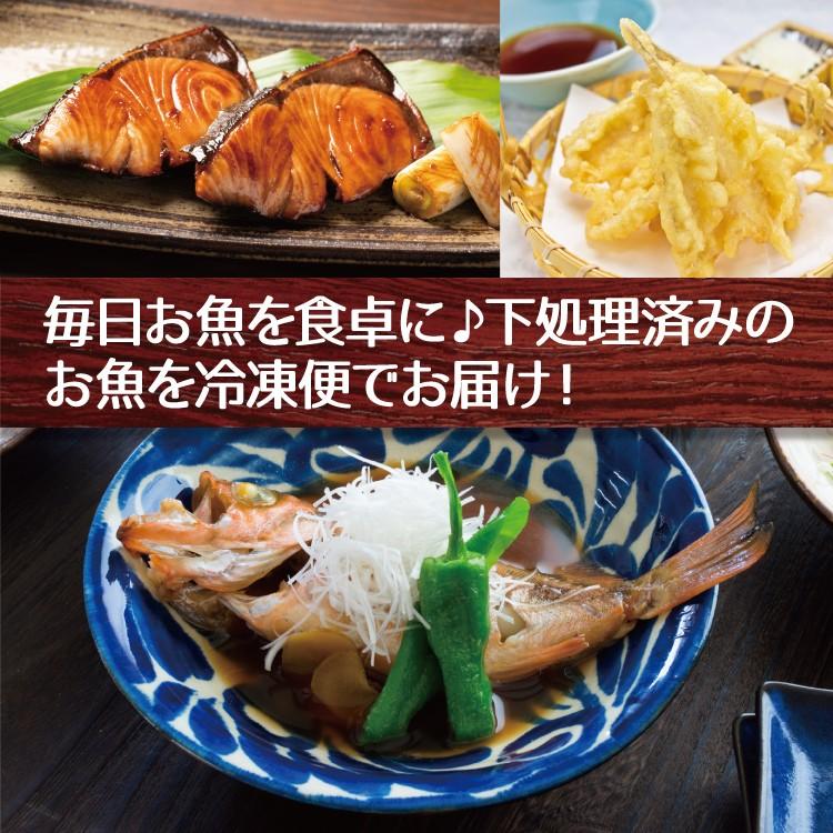 お歳暮 下処理済み お魚セット ４〜６種入り 魚料理食材 おまかせ 詰め合わせ 冷凍食材 お魚ボックス