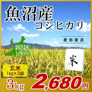 お米 3kg 玄米 魚沼産コシヒカリ (1kg×3袋) エコ梱包 令和5年産 新米   1kg小分け 米 最高級銘柄 新潟米 ブランド米 新潟 新潟県産 国内